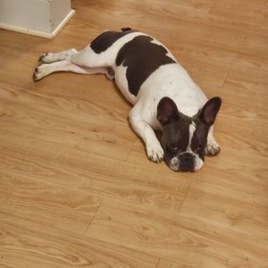 Meet your Posher, Steven